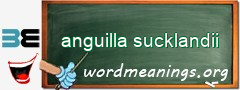 WordMeaning blackboard for anguilla sucklandii